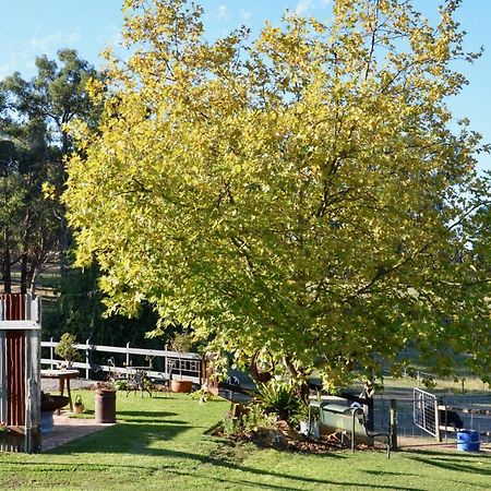 فندق The Stables Wandin North المظهر الخارجي الصورة