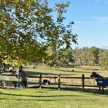 فندق The Stables Wandin North المظهر الخارجي الصورة