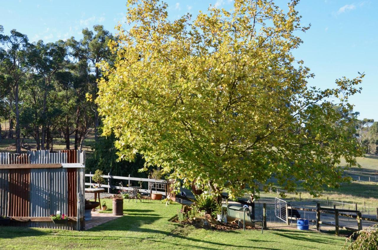 فندق The Stables Wandin North المظهر الخارجي الصورة
