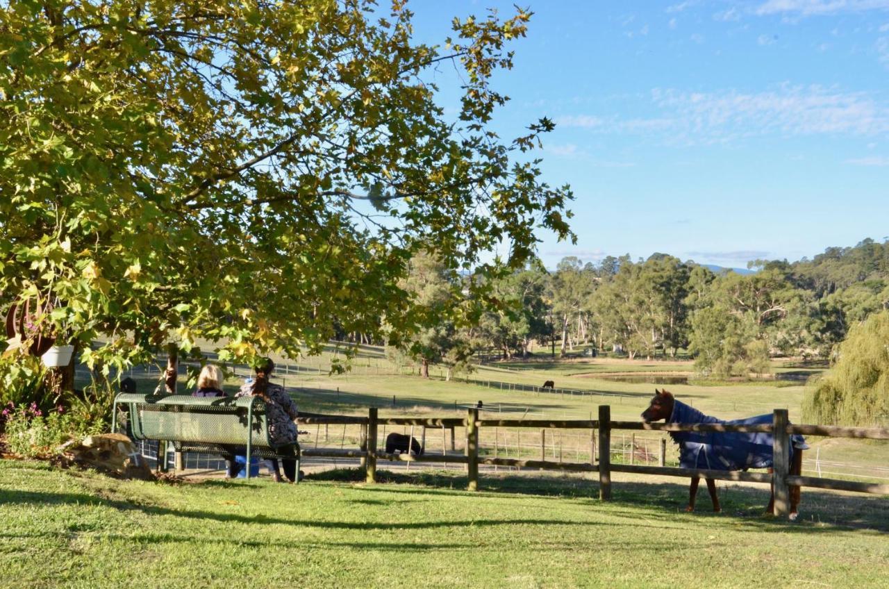 فندق The Stables Wandin North المظهر الخارجي الصورة