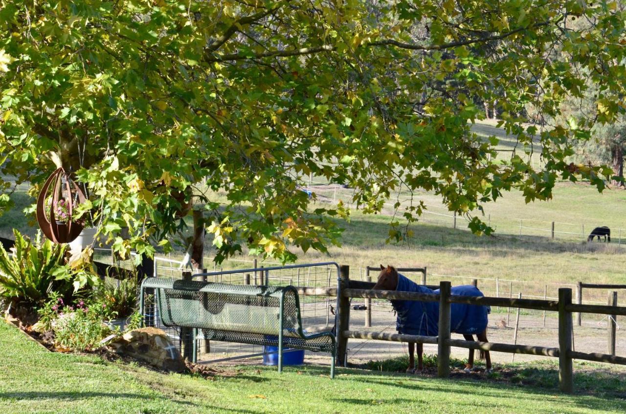 فندق The Stables Wandin North المظهر الخارجي الصورة