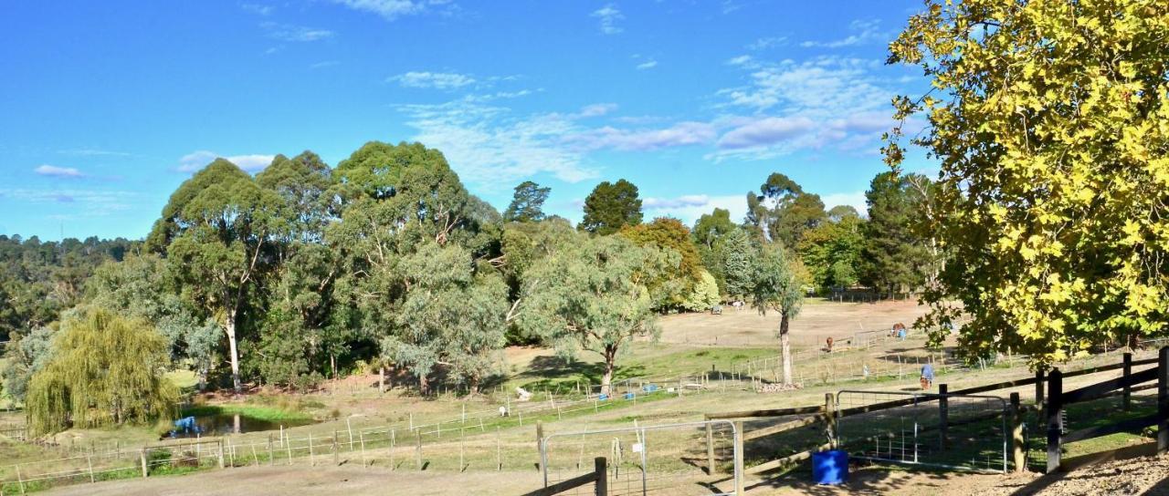 فندق The Stables Wandin North المظهر الخارجي الصورة